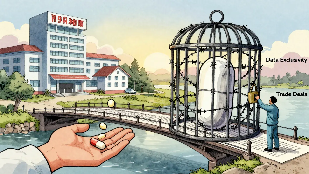 A bridge of legal contracts connects a U.S. pharmacy to a rural clinic, with a pill trapped in barbed wire labeled 'Data Exclusivity'.